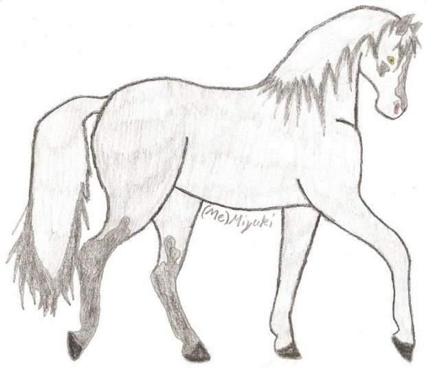 Horse Miyuki