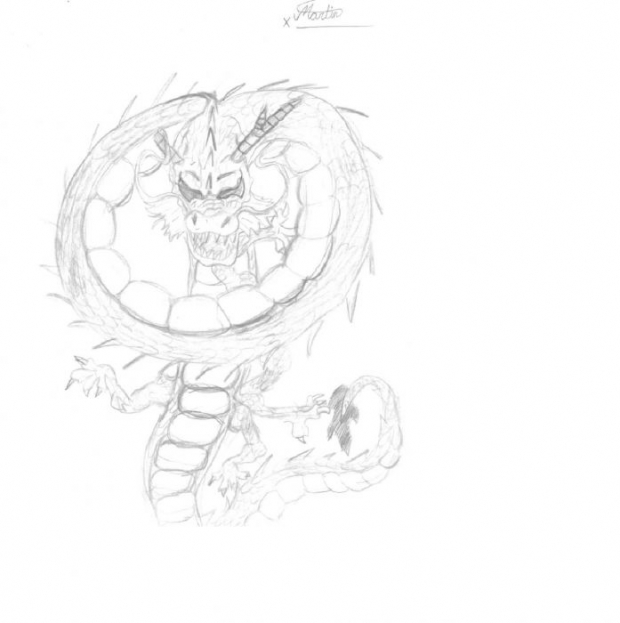 The Dragon Pic