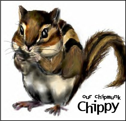 Rock Lee's Chipmunk Chippy!