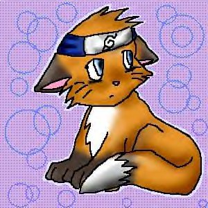 Naru-fox!