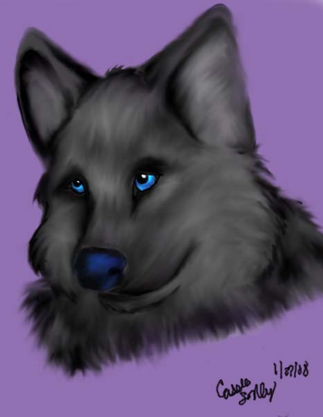 Bea - The Most Annoying Dog.