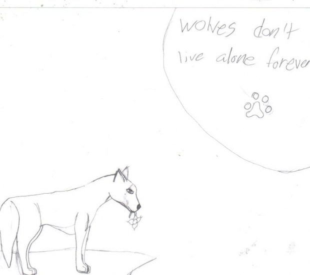 A Lonely Wolf