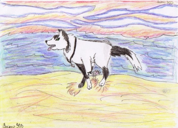 Gift For Sonicandtailsrox