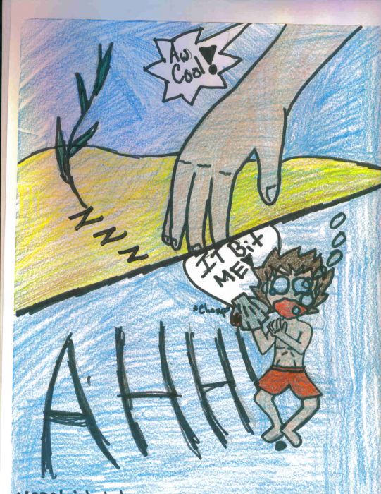 Monterey Bay Aquarium