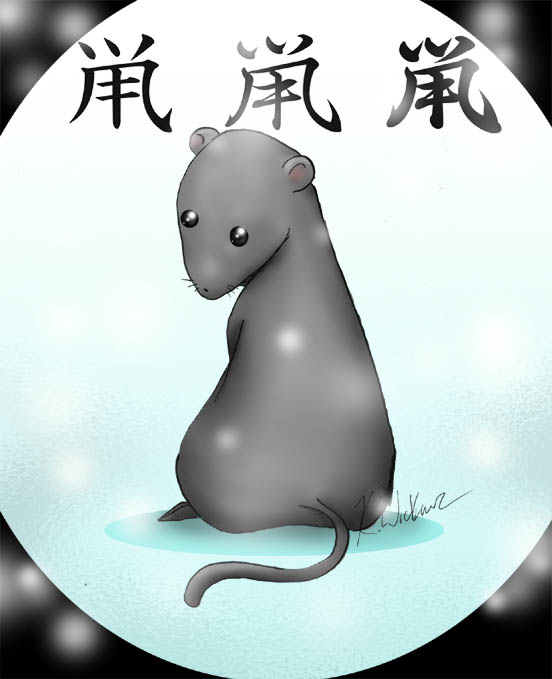 Year Of The Rat