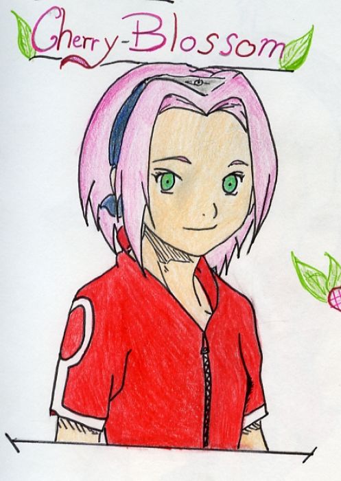 Sakura The Cherry Blossom