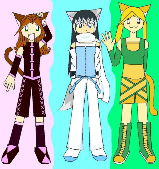 Neko Ninjas Force Three!