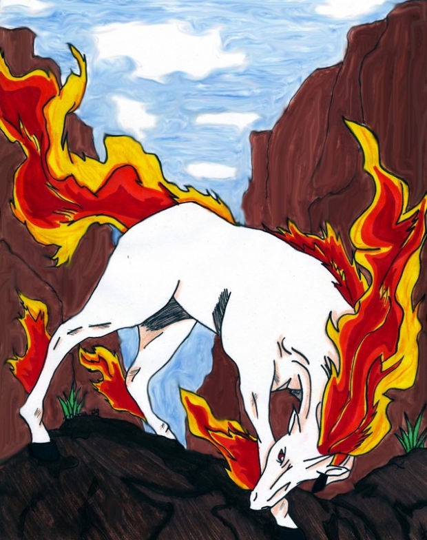 Rapidash