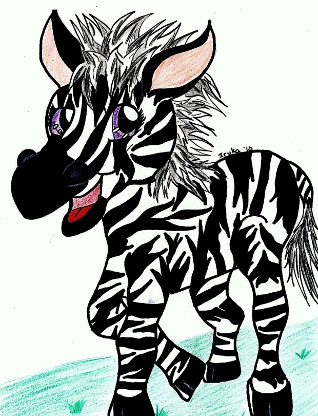 Chibi Zebra