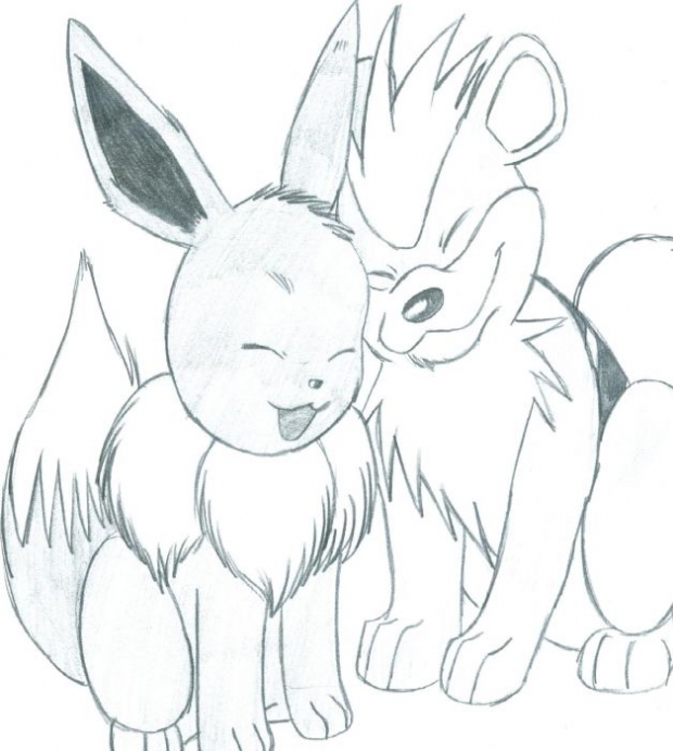 Eevee And Growlithe Xd