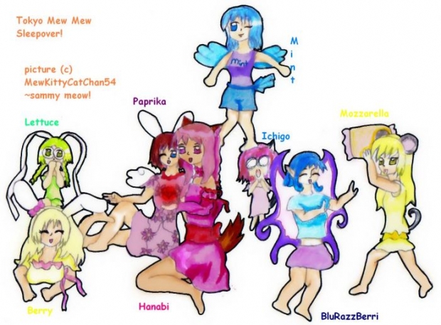 ~'.:mew Mew Sleepover:.'~
