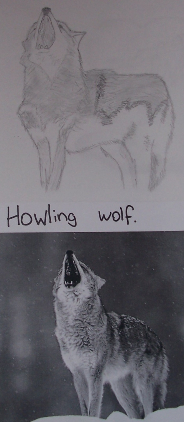 *howl* wolf original and drawn