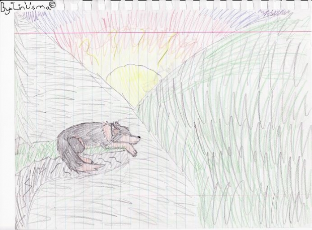 Zoey's Trip To The Wild