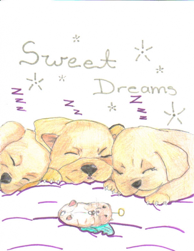 Sweet Dreams