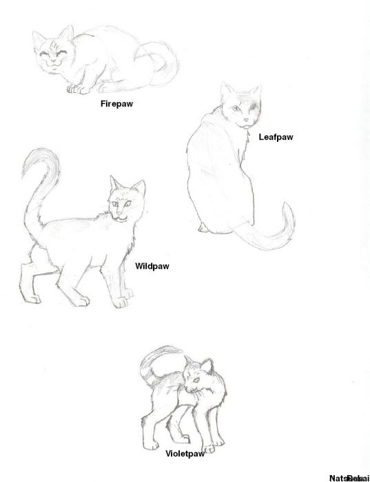 Warriors:teh Four Apprentices