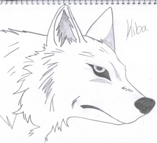 Kiba (wolf Form)