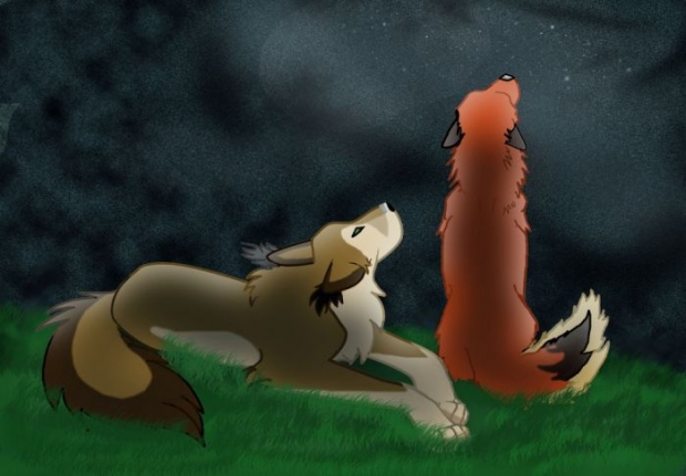 Look At The Biscuits!