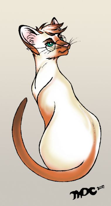 Portrait Of Ting Tang