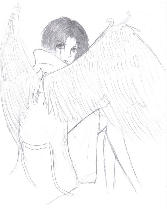 Angel Wings