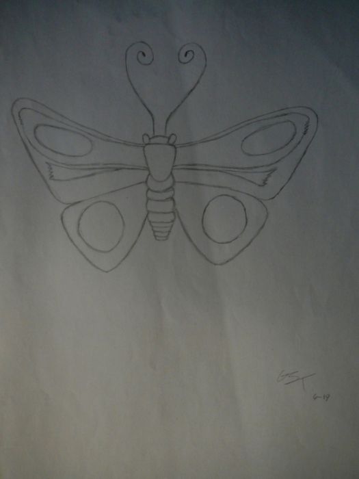 Butterfly