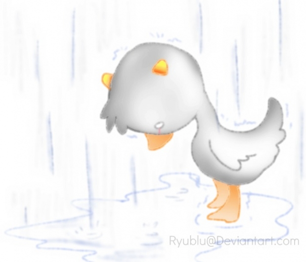 The .Other. Duckling