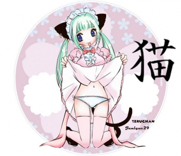 Neko-chan Janique N Teruchan