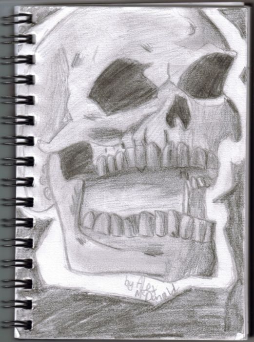 Skull,really Like Ghost Rider!