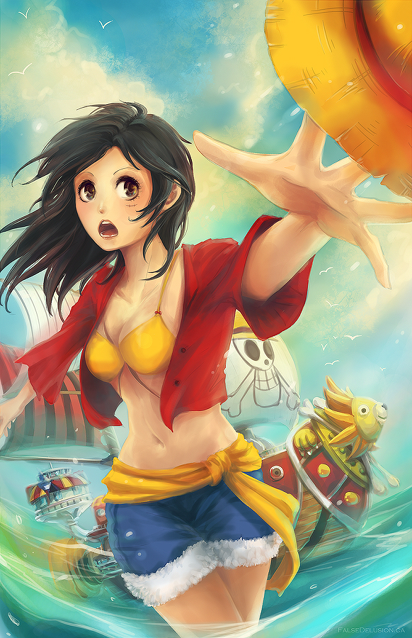 Luffy girl
