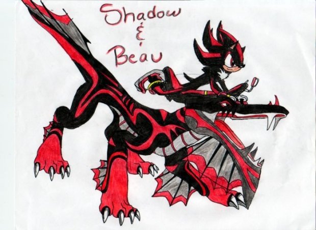 Shadow & Beau