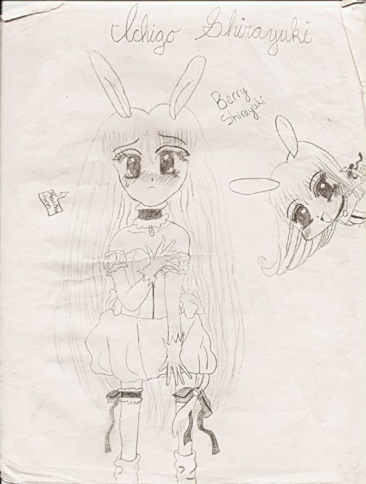 Berry Shirayuki