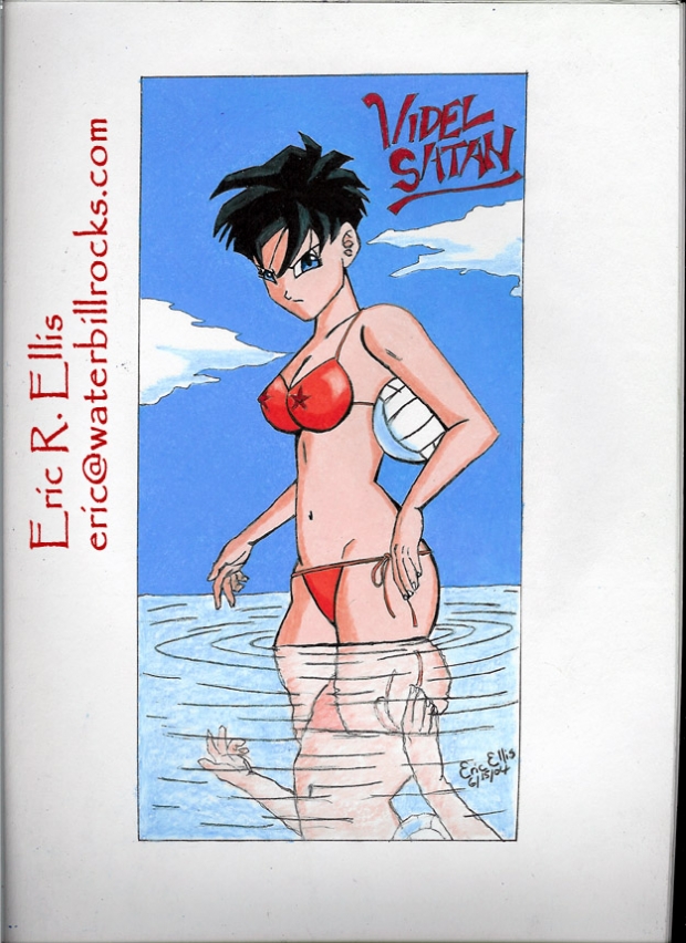 Dbz-videl Swimsuit