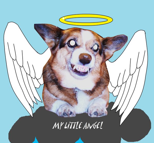 My Little Angel