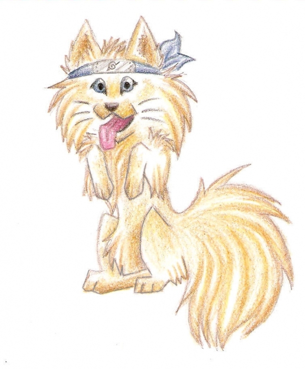 Entry for Aurora's Contest!