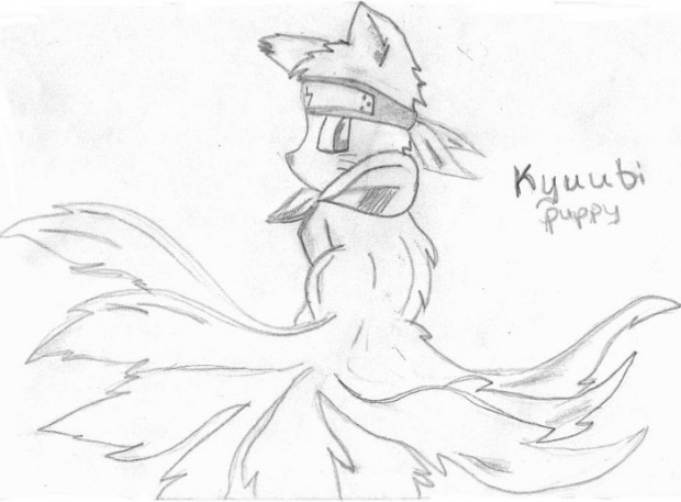 Kyuubi Puppy