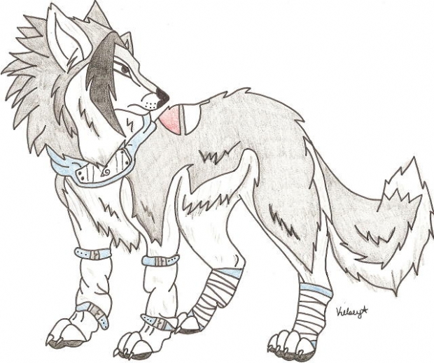 Sasuke Wolf