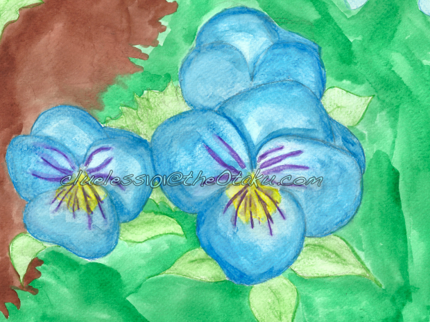 Blue Pansies