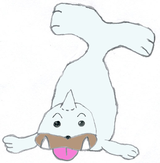 Seel