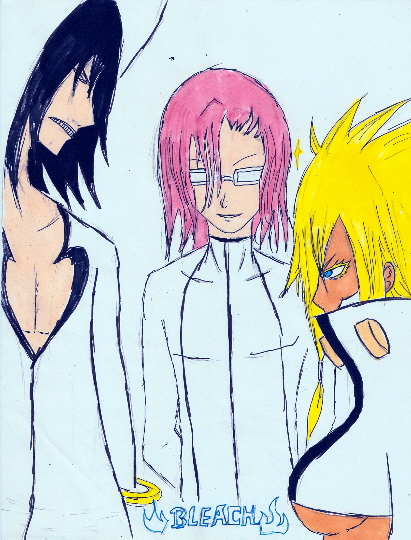 Harribel,Szayel and Nnoitra