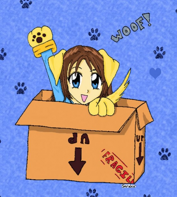 Dog In A Box