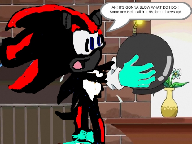 Shadow roy the hedgehog and a bomb