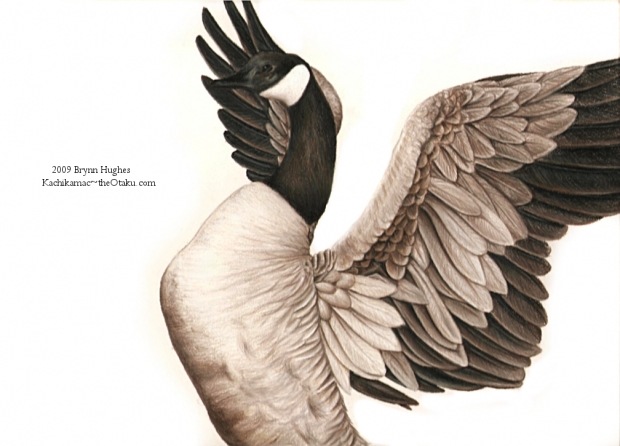 Junior Duck Stamp 2009 ~Unfinished~