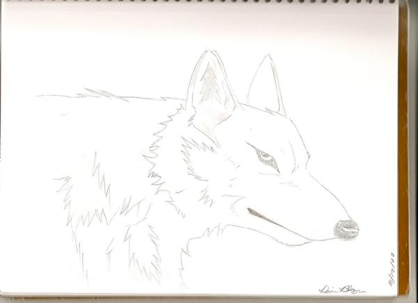 Wolfs Rain