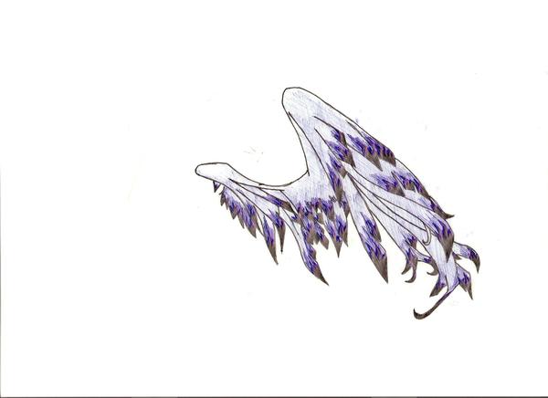 My Colored Version Of My Wing