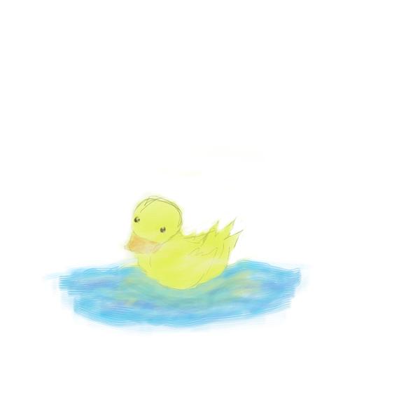 Ducky