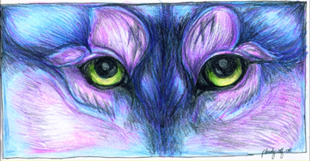 wolf eyes