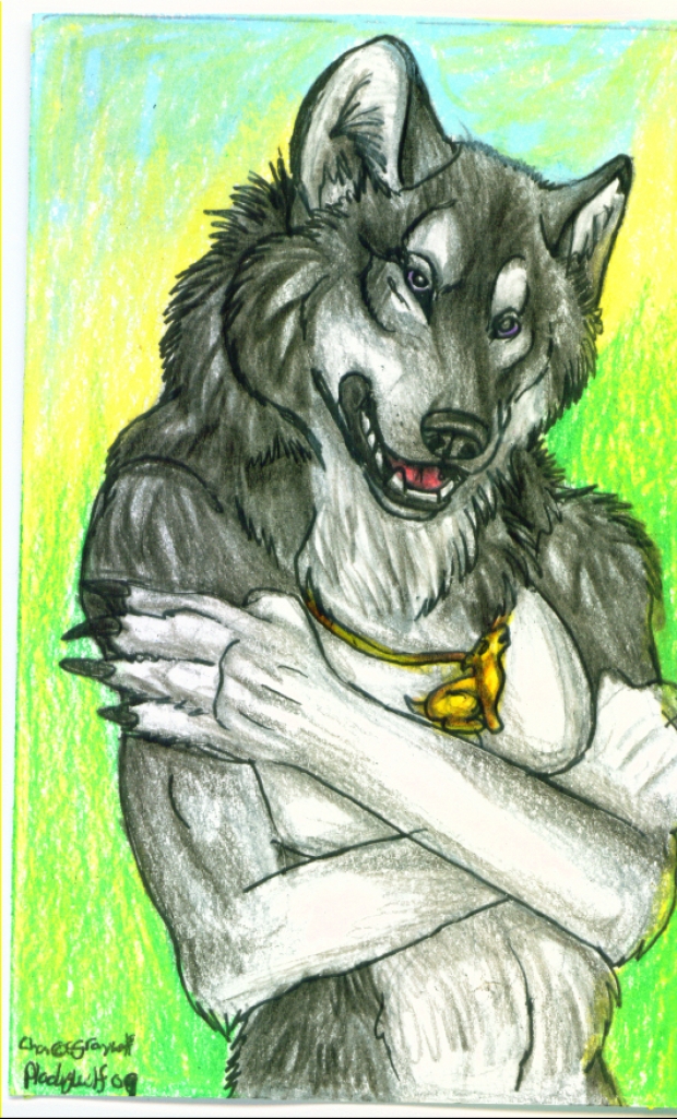 sgraywolf aceo