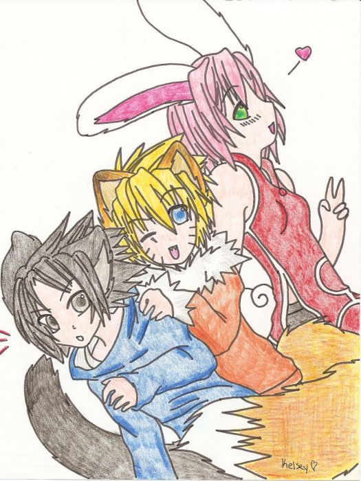 Team 7 As Animals
