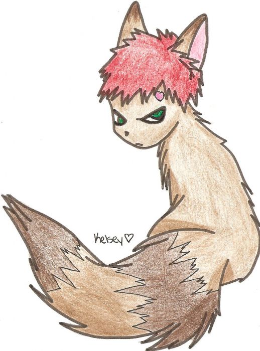 Gaara Raccoon (colored-parakeets)