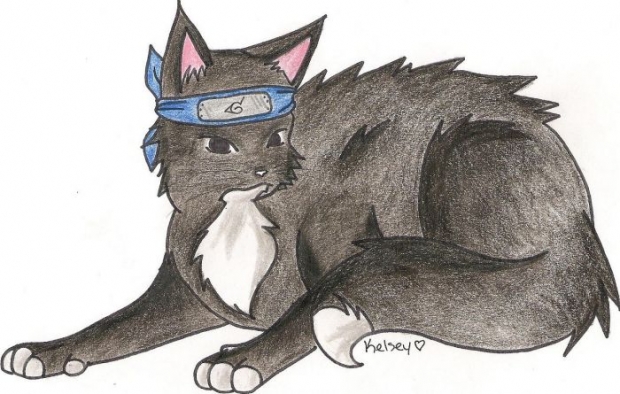 Gift For Blackcatneko