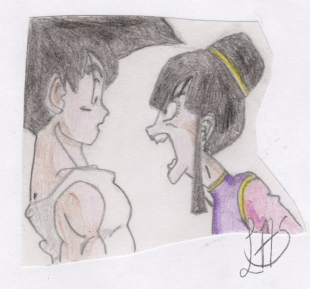 Chichi And Goku